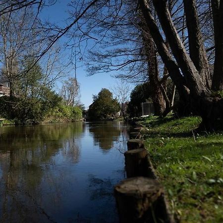 Surrey Hills Escape: Riverside Walks & Quick Links Godalming Exterior foto